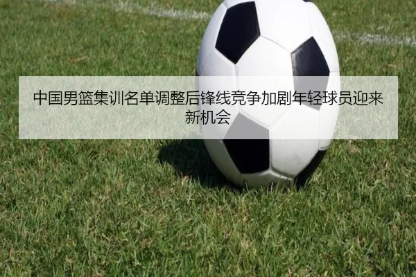 中国男篮集训名单调整后锋线竞争加剧年轻球员迎来新机会（aiyouxi）